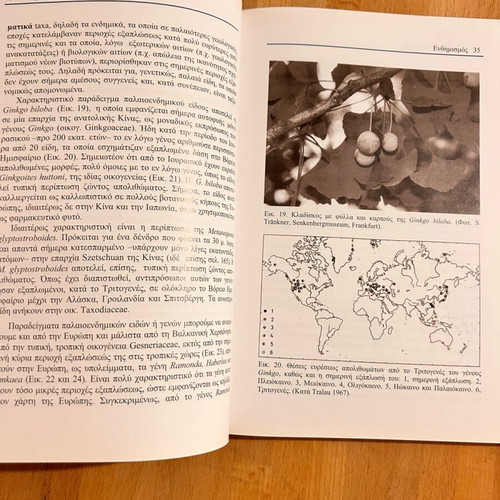 Geobotany Lessons used by Dimitrios G. Foitos and Georgia A. Kamari