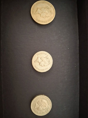 Coins with Queen Elizabeth II used, old pound and New Zealand dollars