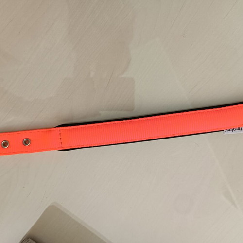 Ferplast Large Dog Leash new, orange