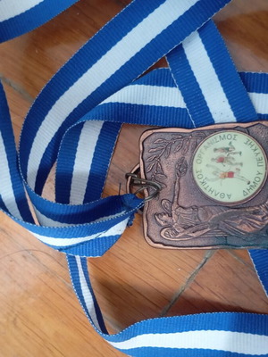 Bronze medal, Athletic Organization of Pefki Municipality