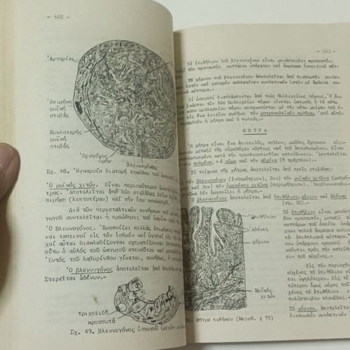 Histology and Embryology Notes and Exercises used, 1962 edition