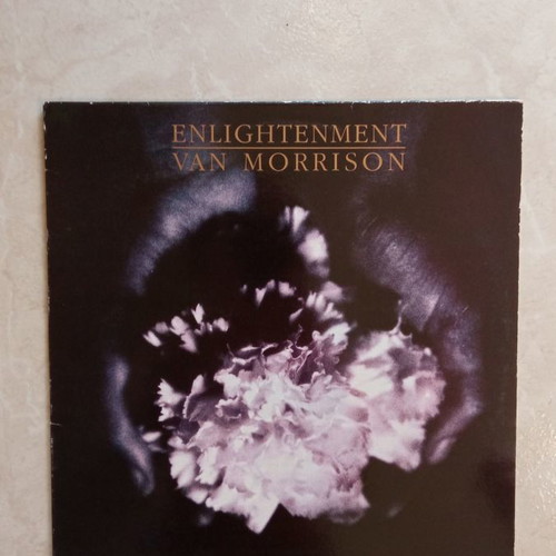 Van Morrison Enlightenment LP used