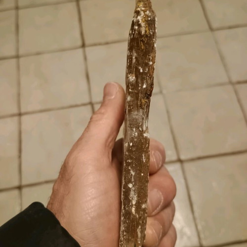 Selenite new