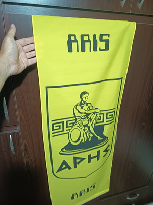 Aris large banner
