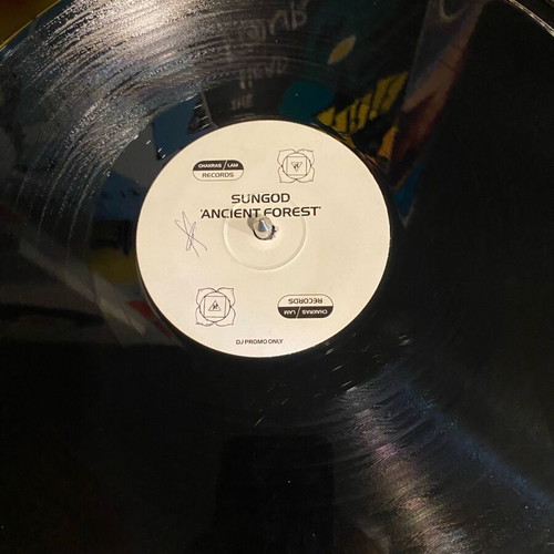 Vinyl record used Goa trance progressive electronic