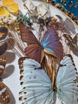 Αντίκες συλλεκτικά κάδρα με πεταλούδες και ημιπολύτιμους λίθους καινούργια