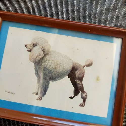 Collection of 4 framed animal art prints from England