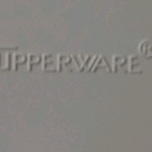 Tupperware 4-Section Dinner Plate new 38×23 cm