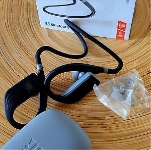 JBL Endurance Dive In-ear Bluetooth Handsfree Μαύρο, 60 ευρώ