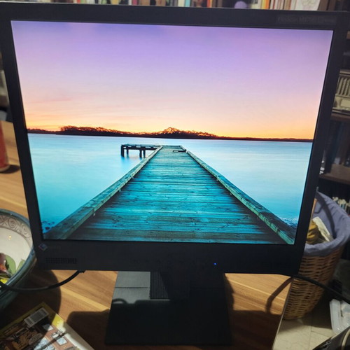 Eizo Flexscan 17-inch monitor used, excellent condition