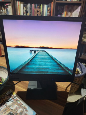 Eizo Flexscan 17-inch monitor used, excellent condition