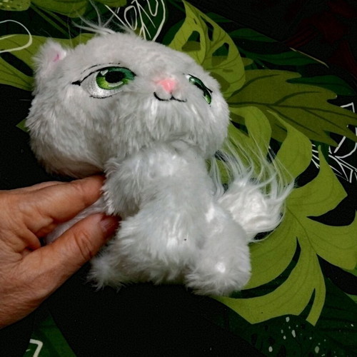 Shimmer Stars Jelly Bean plush cat used