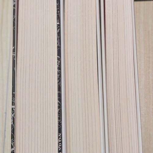 A Darker Shade of Magic Hardcover set like new by V. E. Schwab
