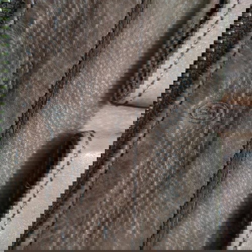 Bartuggi γυναικεία τσάντα χιαστή-ώμου μεταχειρισμένη καφέ