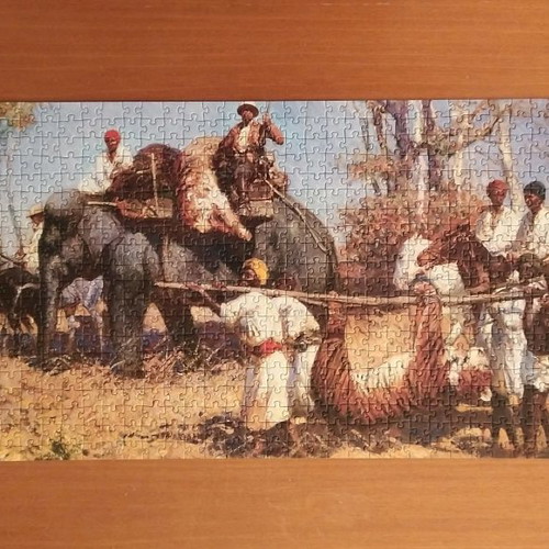 Puzzle Trefl 1000 Tiger Hunt used, completed