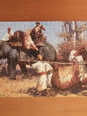 Puzzle Trefl 1000 Tiger Hunt used, completed
