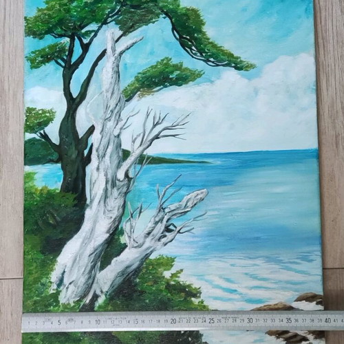Oil painting on canvas new 50 x 40