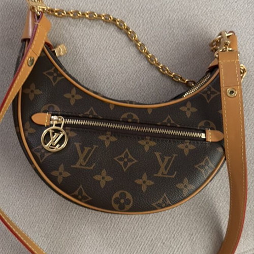 Louis Vuitton PM Loop bag luxury monogram canvas crossbody