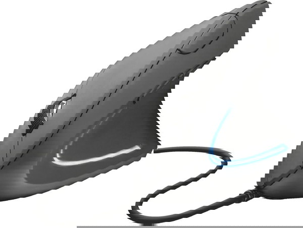 Trust Ergonomic mouse