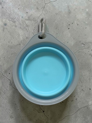 Collapsible water and food bowl new, silicone and TPR