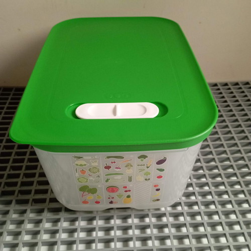 Tupperware smart cooling container 4.4 lt new