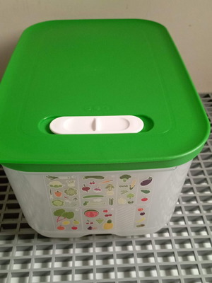 Tupperware smart cooling container 4.4 lt new