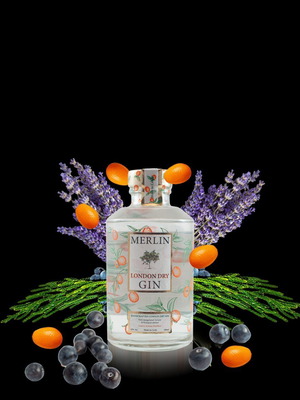 Merlin London Dry Gin 200ml new
