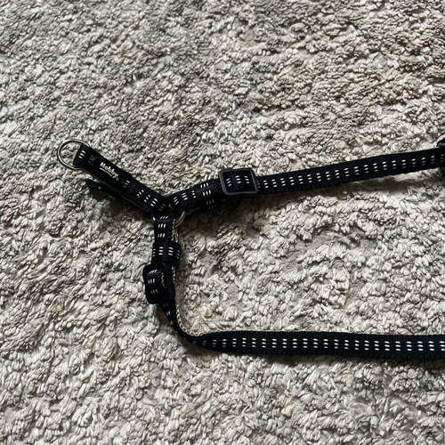 Nobby harness and leash set unused, Soft Grip Preno series