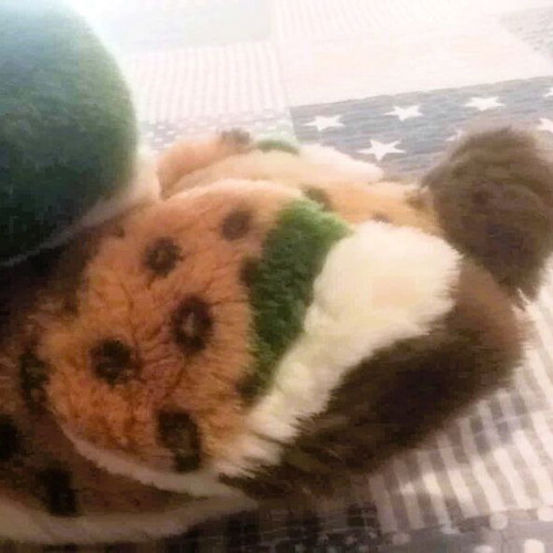 Stuffed male duck like new, medium size from Germany