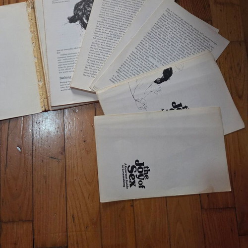 The Joy of Sex by Dr Alex Comfort used, English edition Quartet 1970s