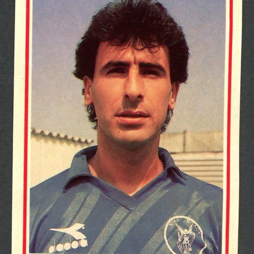 1989 Karousel Sticker #343 used
