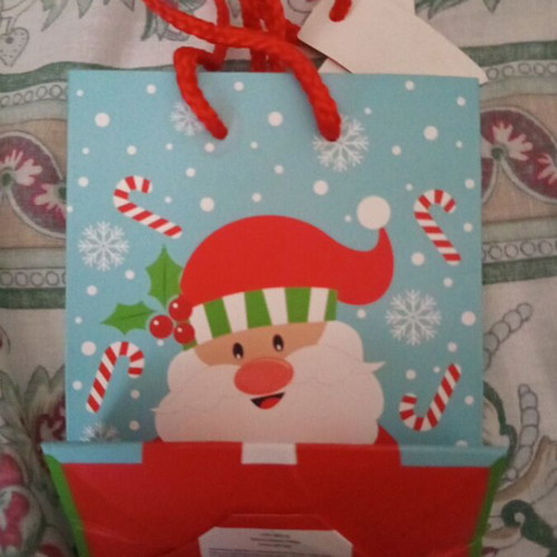 Christmas gift bag with Santa Claus design new