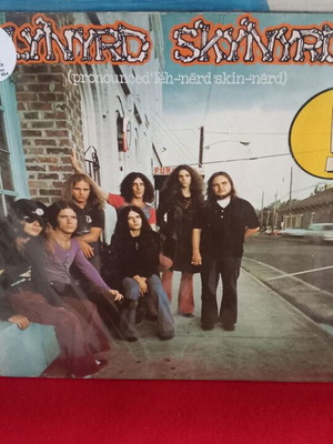 Lynyrd Skynyrd αυθεντικό ροκ βινύλιο