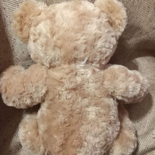 Teddy bear plush toy in good condition