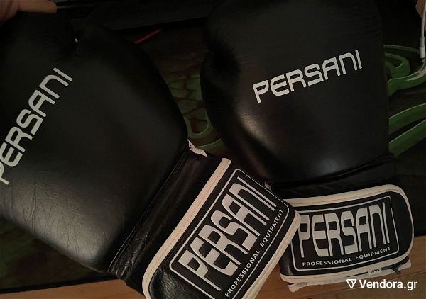  gantia pigmachias & Kick Boxing Persani 12oz