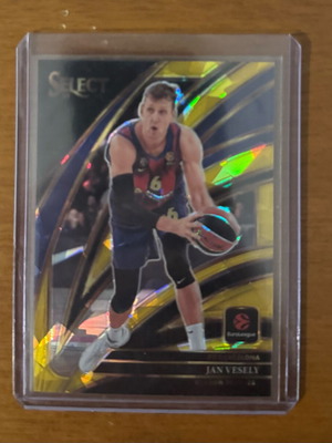 Panini EuroLeague Select Jan Vesely Cracked Ice card new