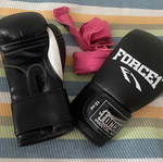 Muay Thai gloves lightly used