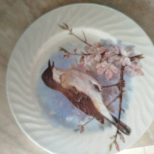 Vintage wall plate used in pink and sky blue tones