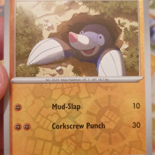 Fighting Holo Pokemon Cards new condition