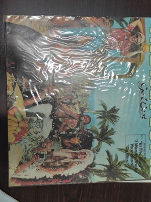 Village People vinyl record