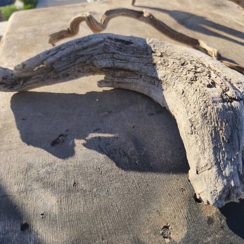 Driftwood for artists, pack of about 80 pieces, natural
