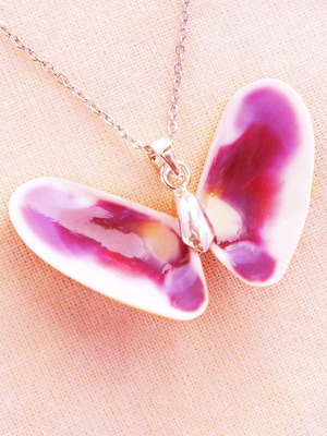 Pholas dactylus shells new, pack of 24 for handmade jewelry