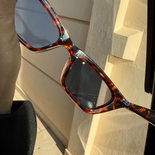 Karen AV sunglasses new, brown with case and authentic cloth