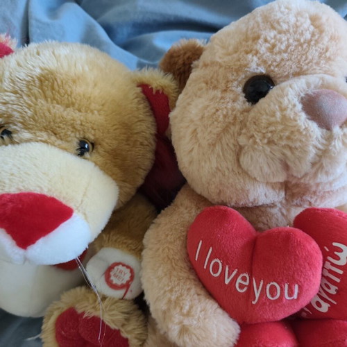 Plush teddy bears used, set of two with light-up heart
