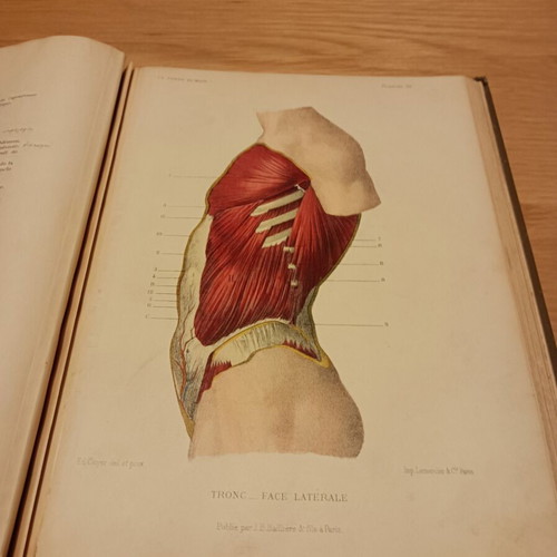 Atlas manuel d anatomie by Édouard Cuyer used, 1895 medical art book