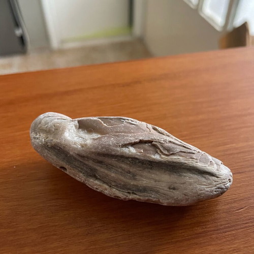 Chert with natural layers new, brown and gray shades