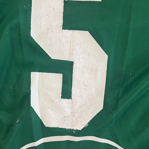 Panathinaikos Adidas Rukavina 100 Years Anniversary Jersey used, size Small, men's