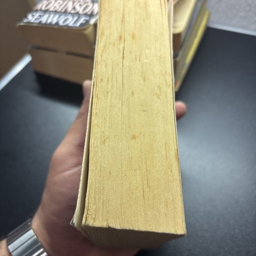 Wild Fire by Nelson DeMille used English book