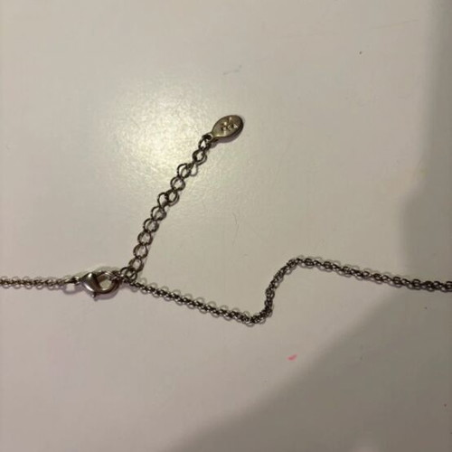 Gold necklace with blue birds used from accessorize