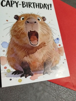 Κάρτα γενεθλίων Capybara καινούργια με κόκκινο φάκελο